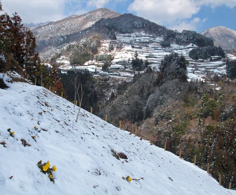 🏞️ 오치아이 마을 전망대(오치아이 슈라쿠 텐보쇼) 이미지 9
